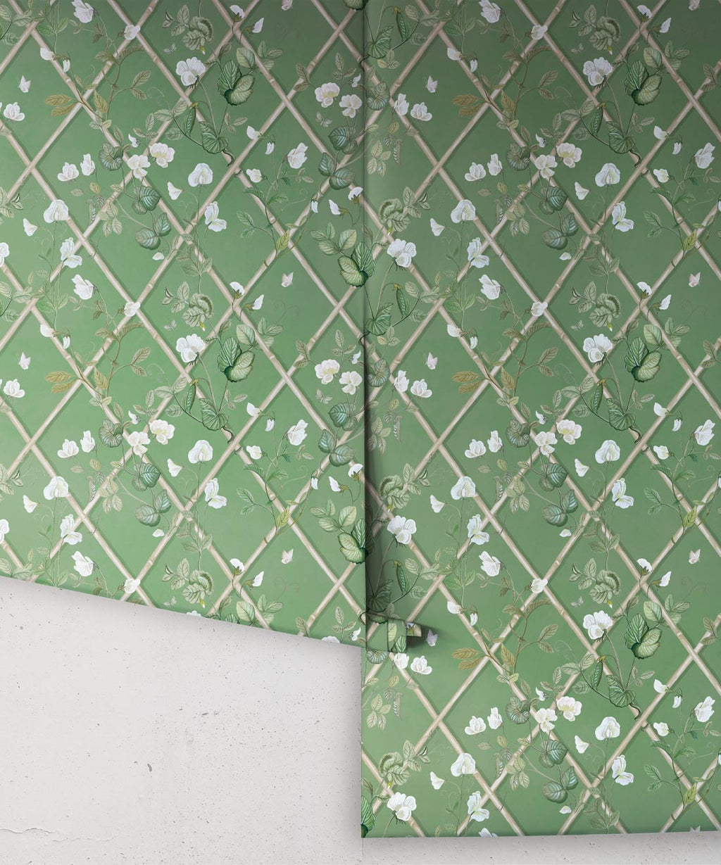 Petite Climbing Sweet Pea Wallpaper, Dark Green & Cane