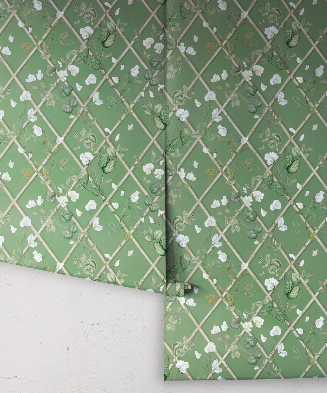 Petite Climbing Sweet Pea Wallpaper, Dark Green & Cane