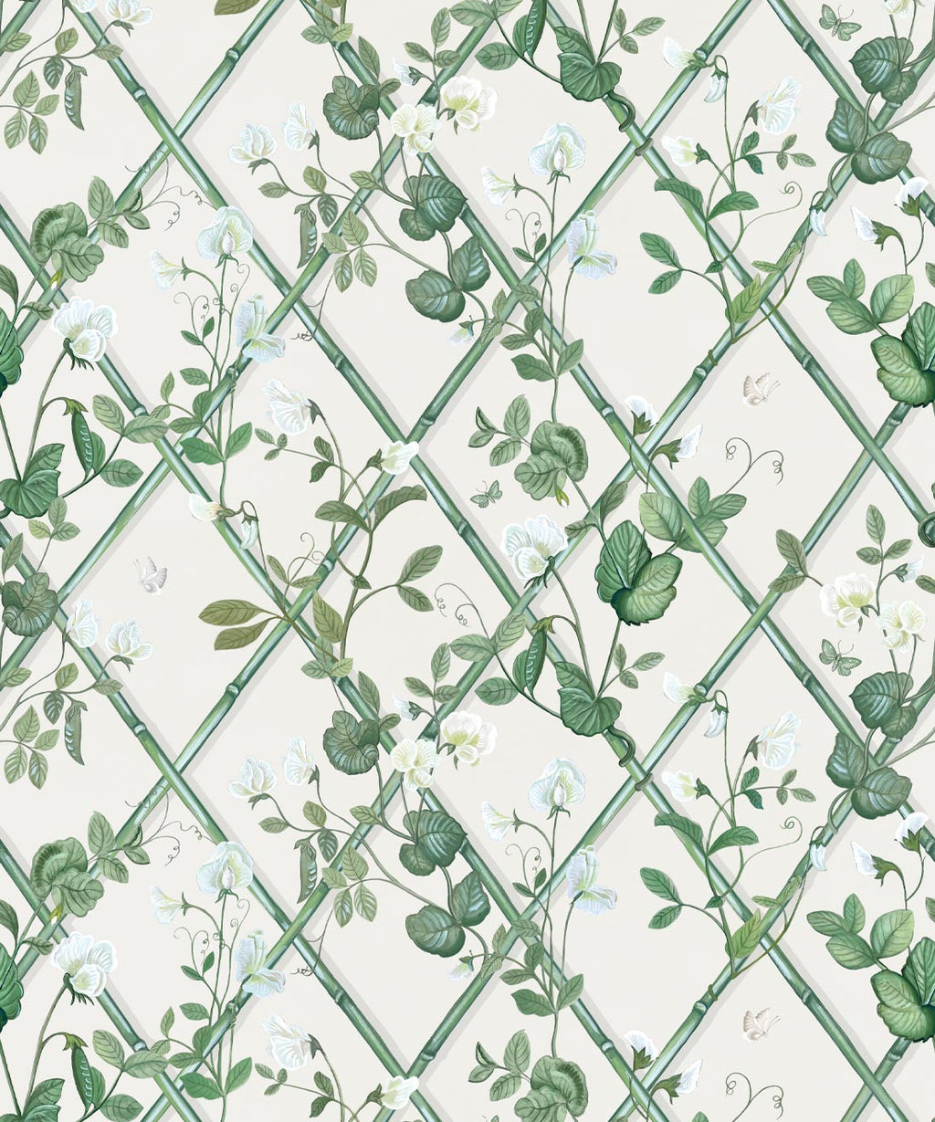 Petite Climbing Sweet Pea Wallpaper, Irish Linen