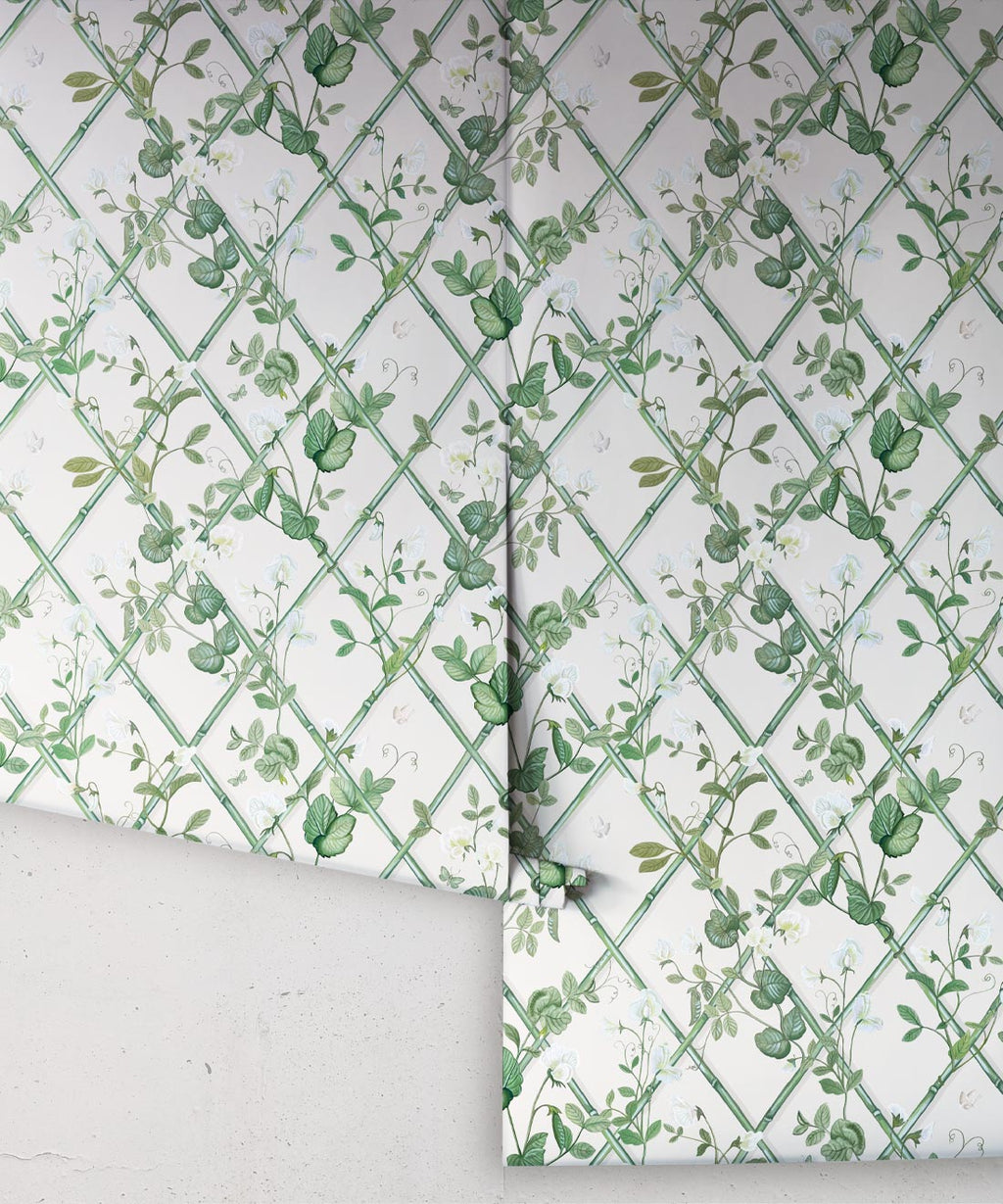 Petite Climbing Sweet Pea Wallpaper, Irish Linen