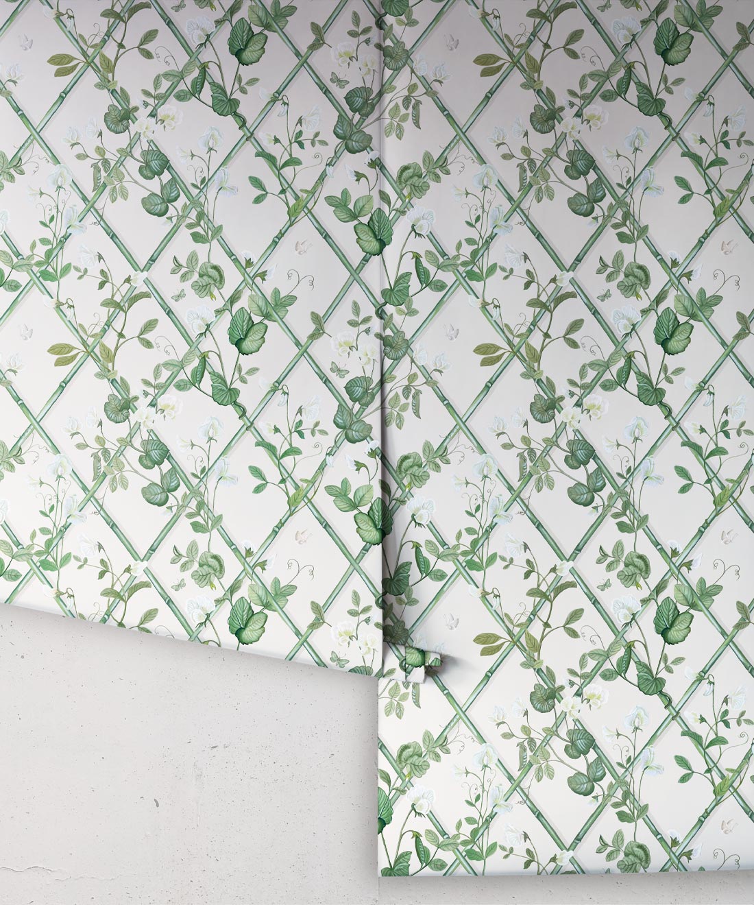 Petite Climbing Sweet Pea Wallpaper, Irish Linen
