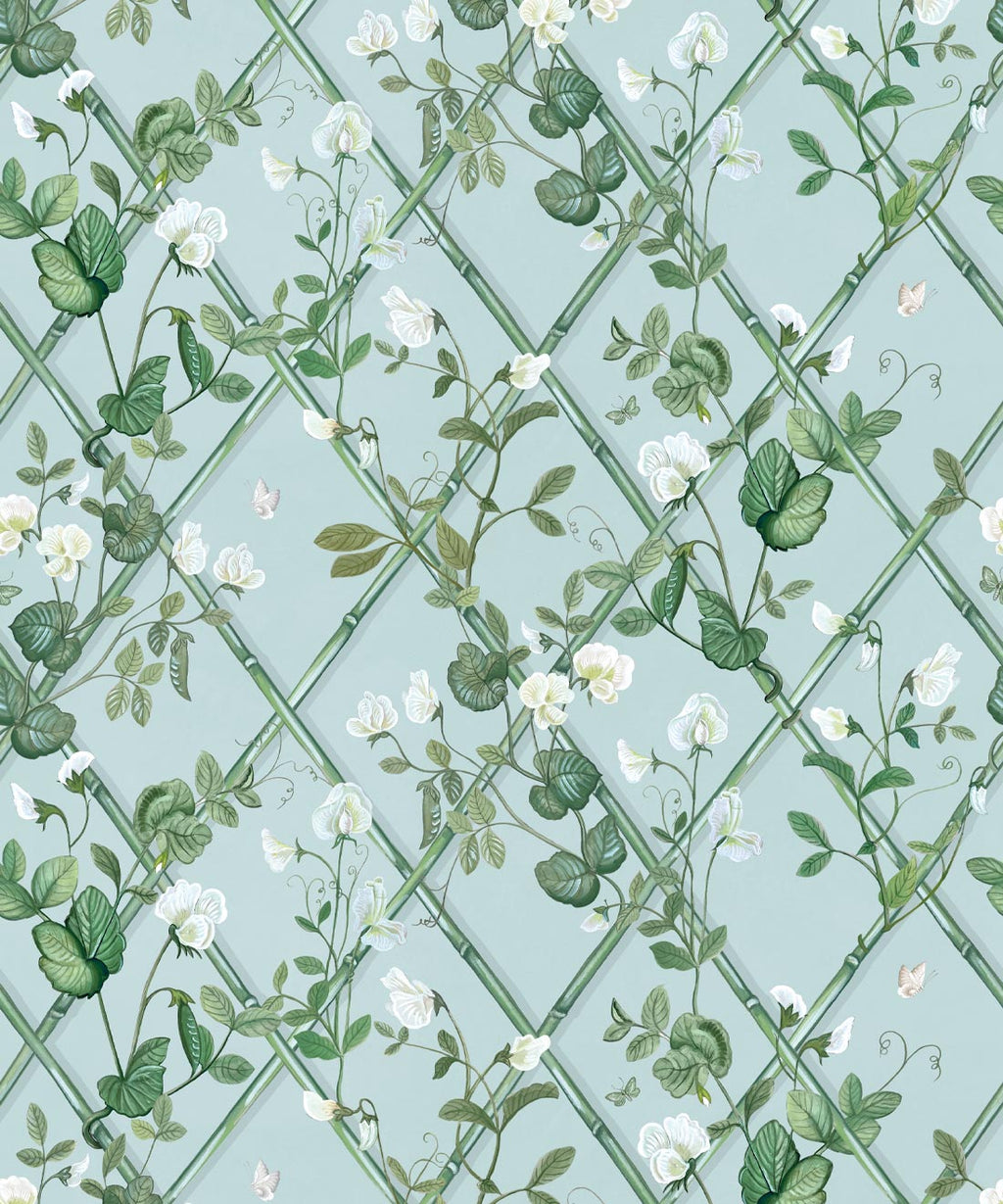 Petite Climbing Sweet Pea Wallpaper, Light Provence
