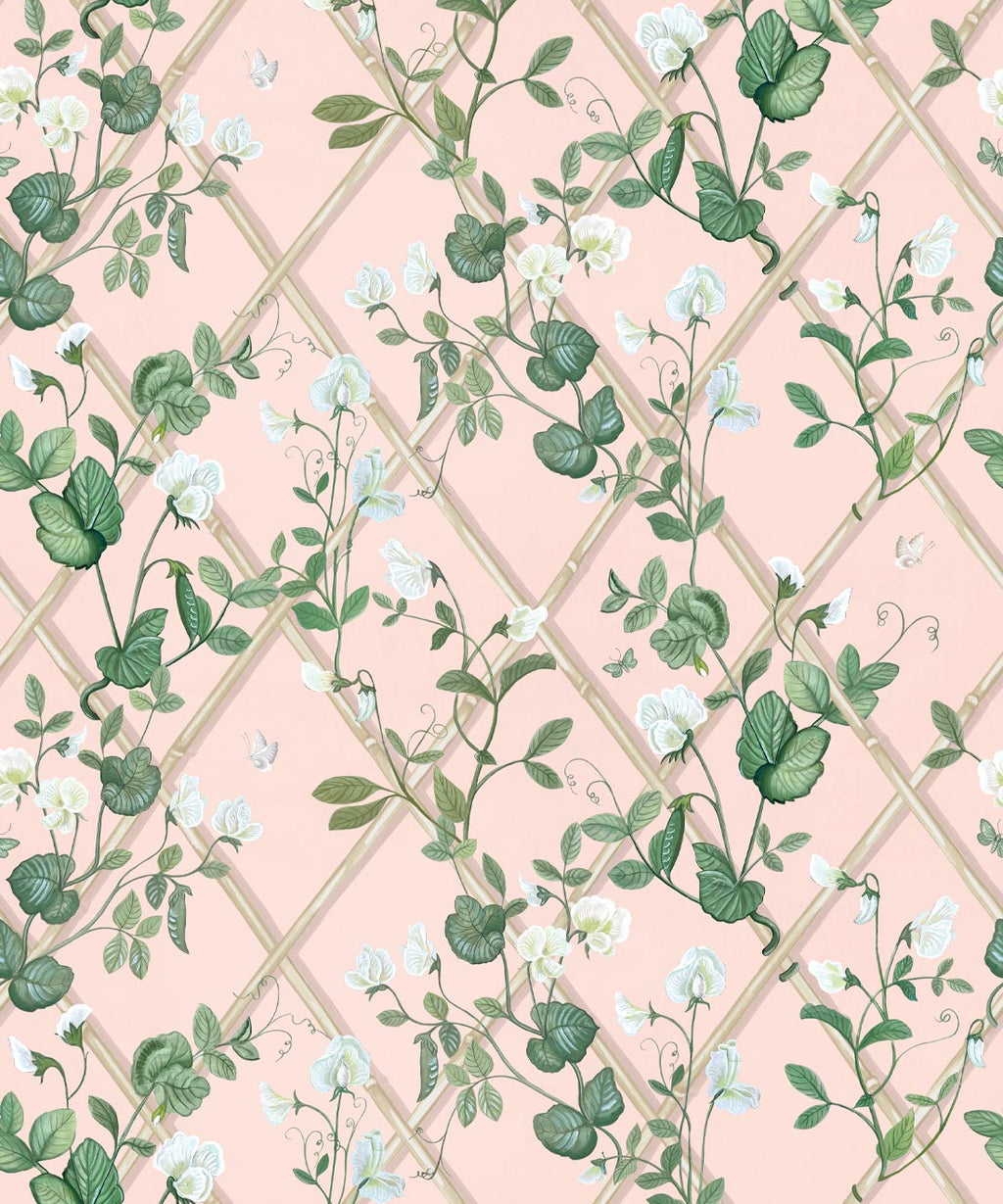 Petite Climbing Sweet Pea Wallpaper, Pink