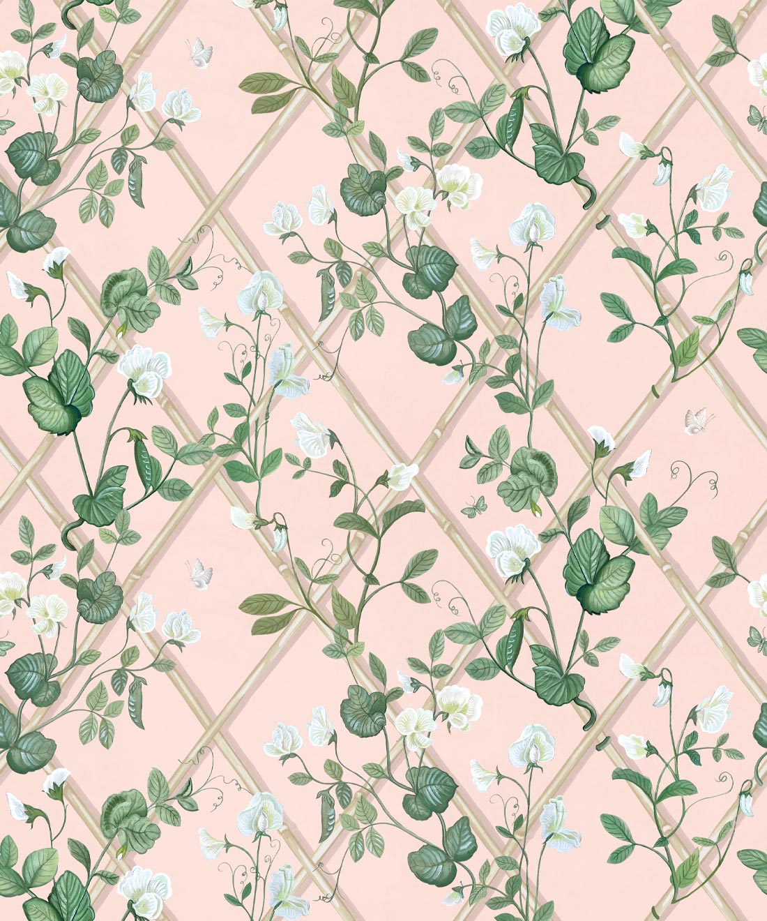 Petite Climbing Sweet Pea Wallpaper, Pink