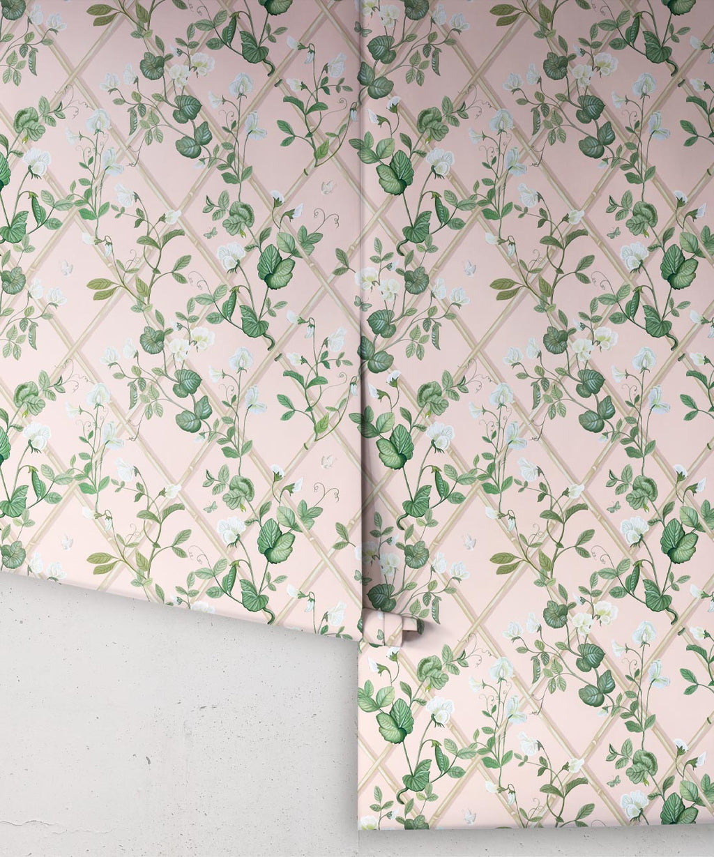 Petite Climbing Sweet Pea Wallpaper, Pink