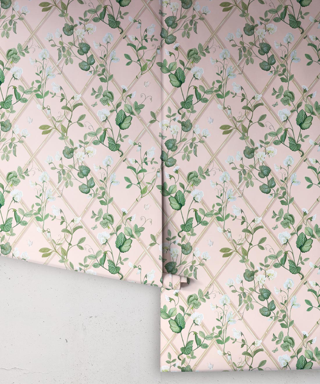 Petite Climbing Sweet Pea Wallpaper, Pink