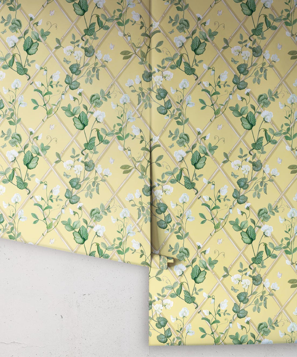 Petite Climbing Sweet Pea Wallpaper, Rattan & Cane