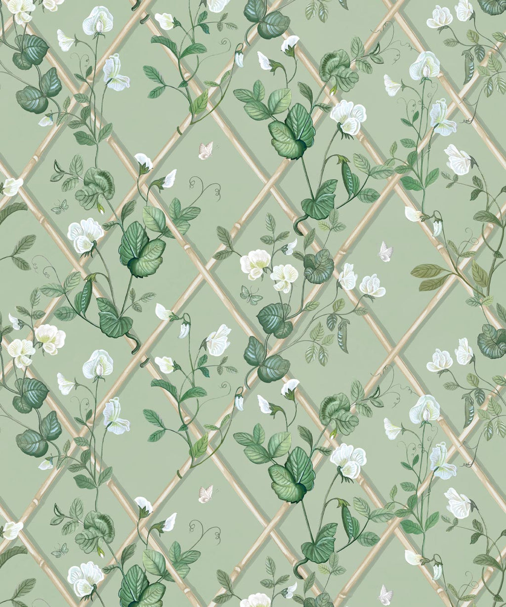 Petite Climbing Sweet Pea Wallpaper, Sage & Cane