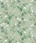 Petite Climbing Sweet Pea Wallpaper, Sage & Cane