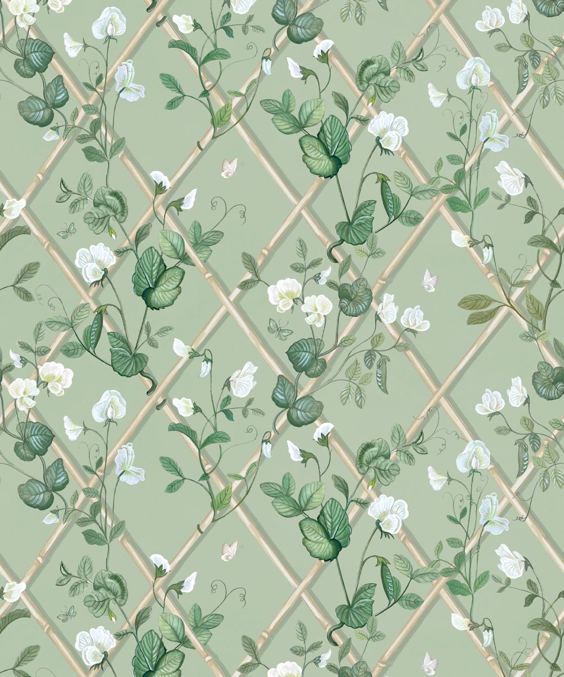Petite Climbing Sweet Pea Wallpaper, Sage & Cane