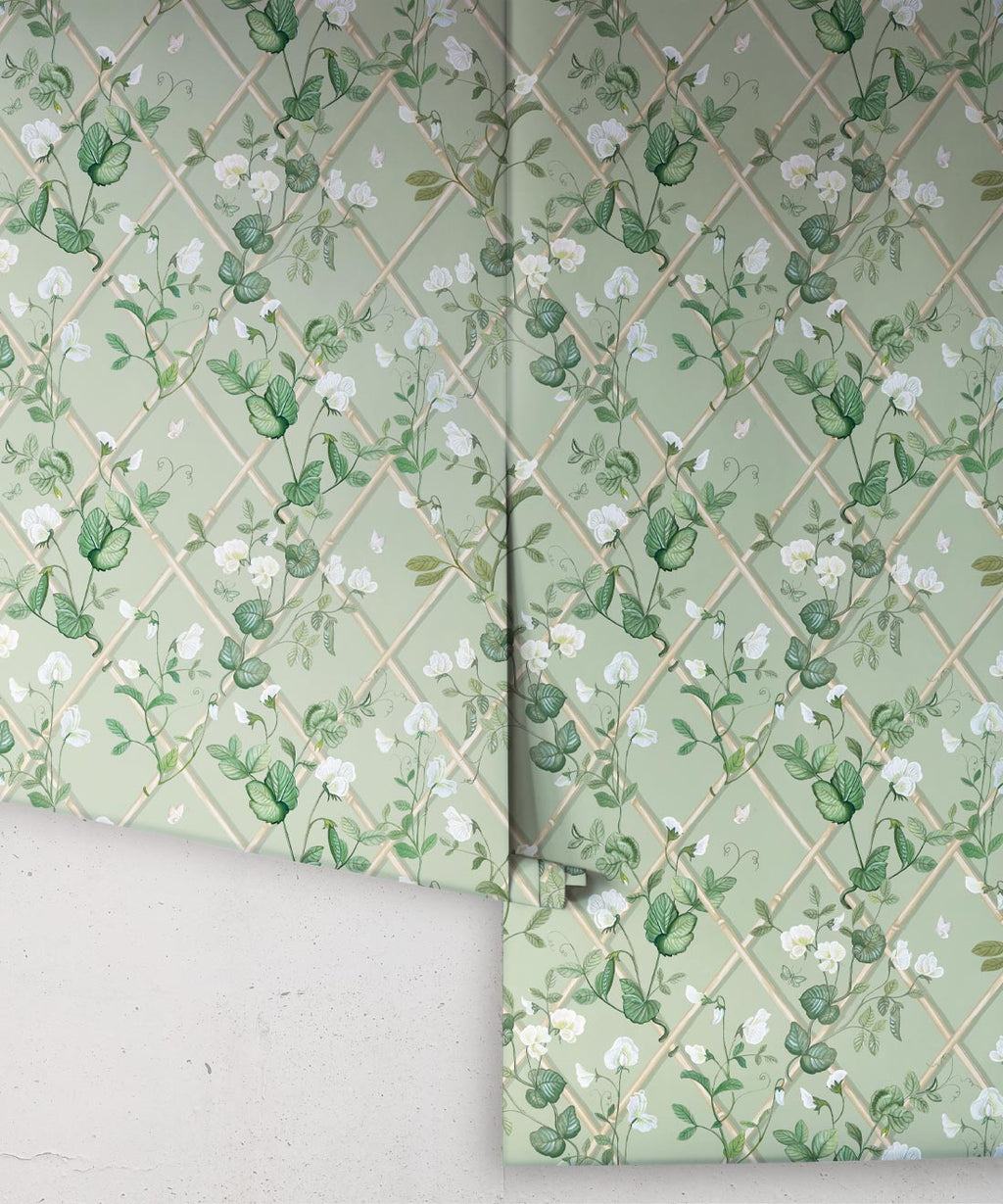 Petite Climbing Sweet Pea Wallpaper, Sage & Cane