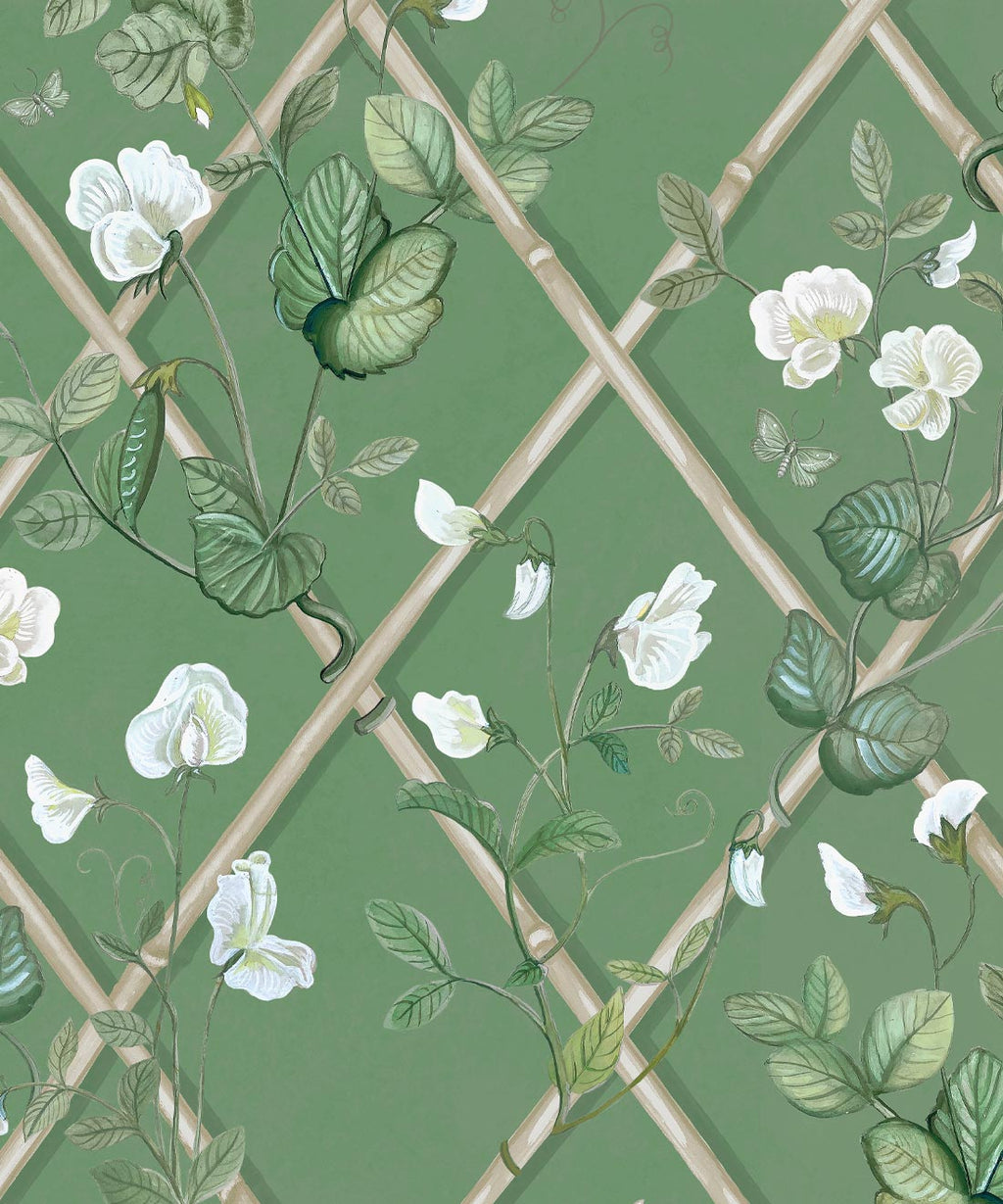 Grande Climbing Sweet Pea Wallpaper, Dark Green & Cane