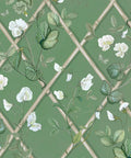 Grande Climbing Sweet Pea Wallpaper, Dark Green & Cane