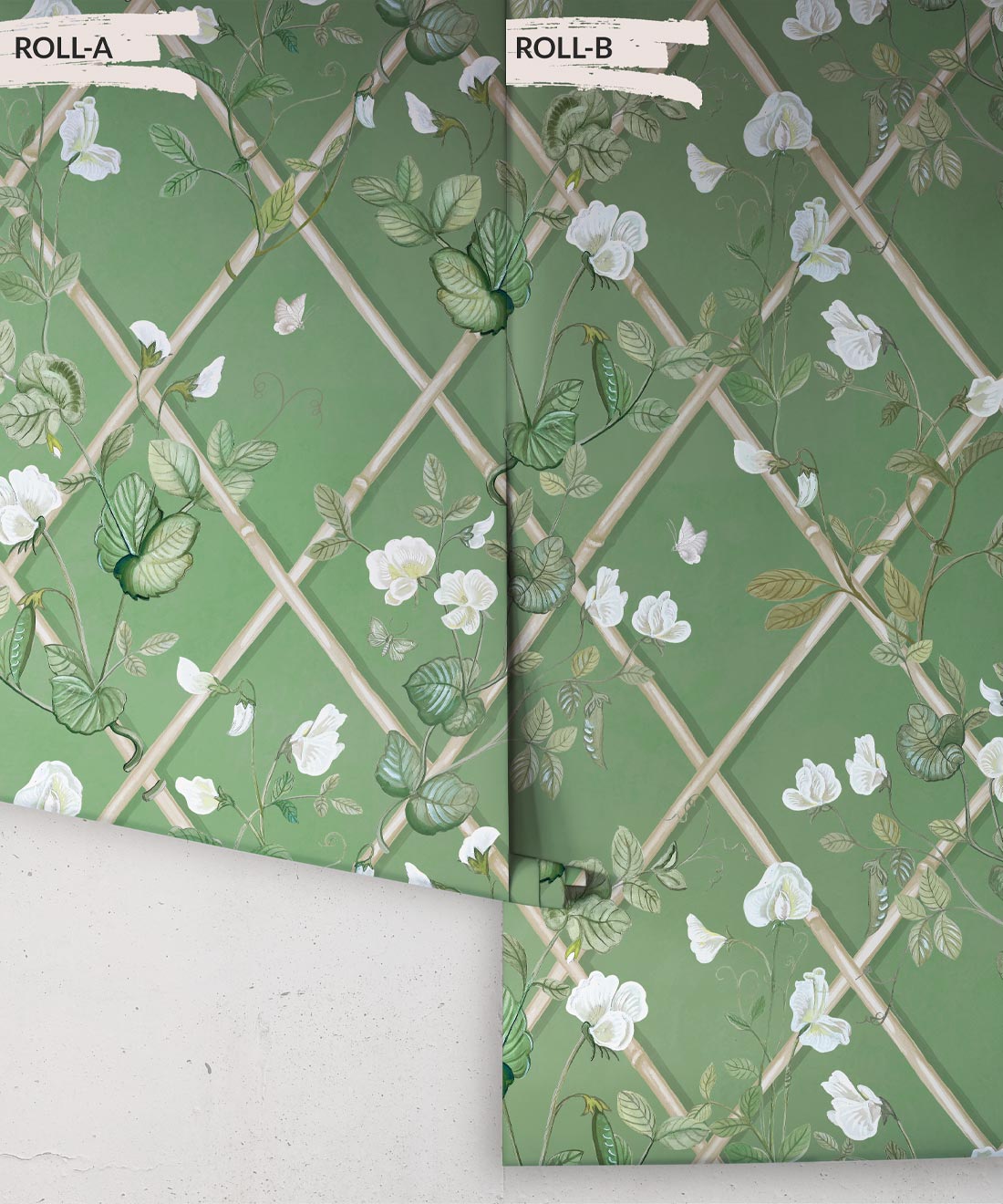 Grande Climbing Sweet Pea Wallpaper, Dark Green & Cane