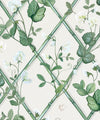 Grande Climbing Sweet Pea Wallpaper, Irish Linen