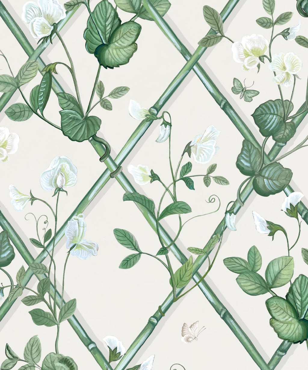 Grande Climbing Sweet Pea Wallpaper, Irish Linen