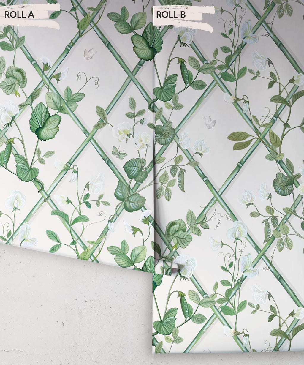 Grande Climbing Sweet Pea Wallpaper, Irish Linen