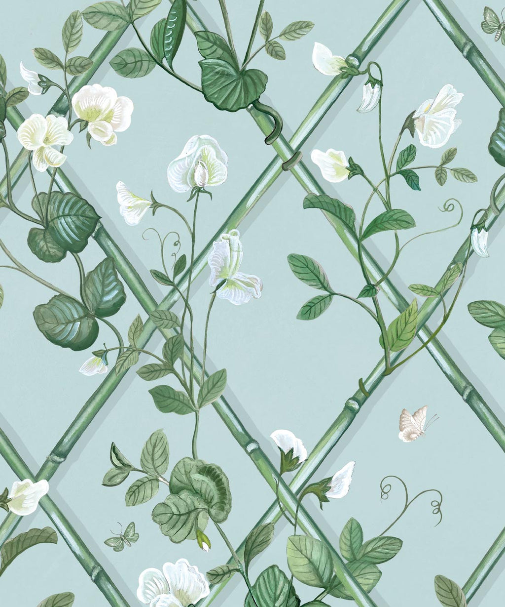 Grande Climbing Sweet Pea Wallpaper, Light Provence
