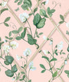 Grande Climbing Sweet Pea Wallpaper, Pink