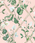 Grande Climbing Sweet Pea Wallpaper, Pink