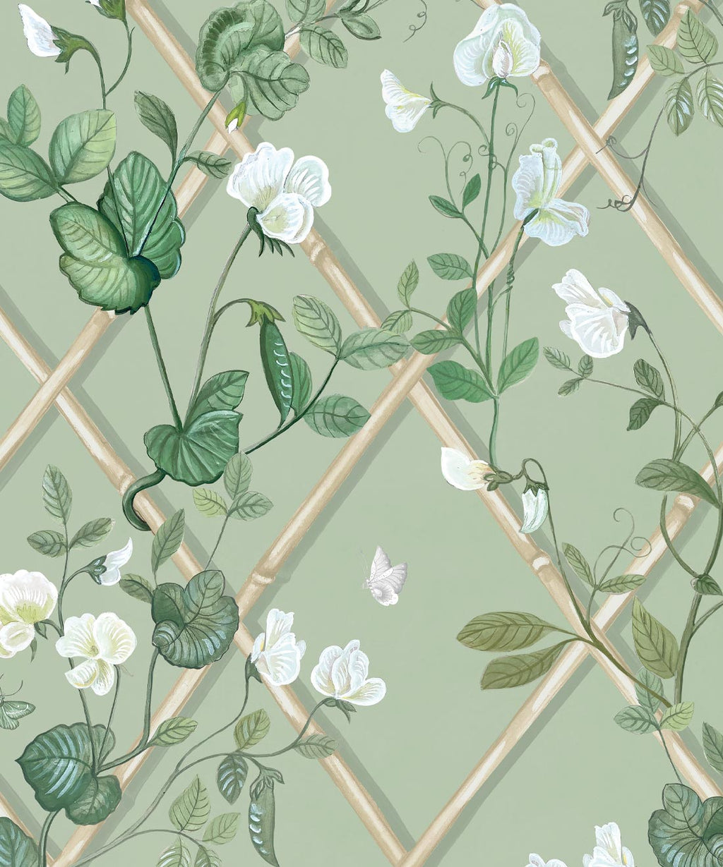 Grande Climbing Sweet Pea Wallpaper, Sage & Cane