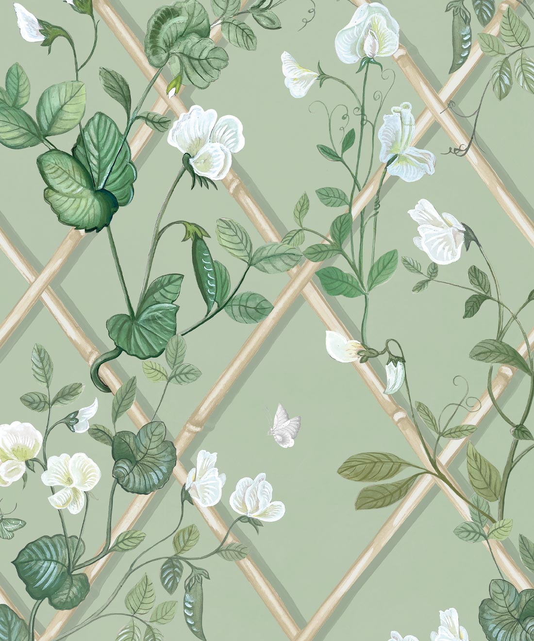 Grande Climbing Sweet Pea Wallpaper, Sage & Cane