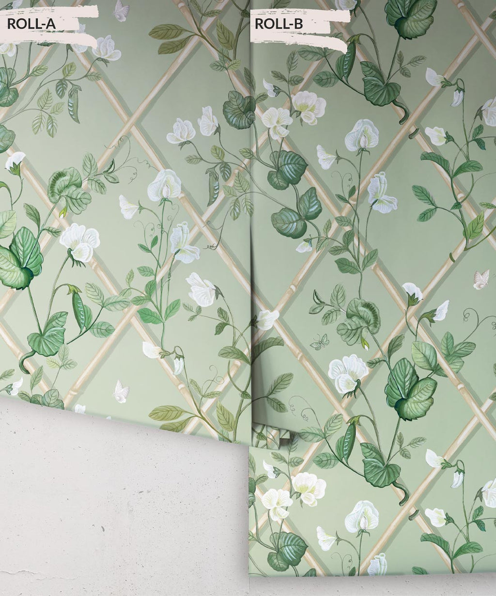 Grande Climbing Sweet Pea Wallpaper, Sage & Cane