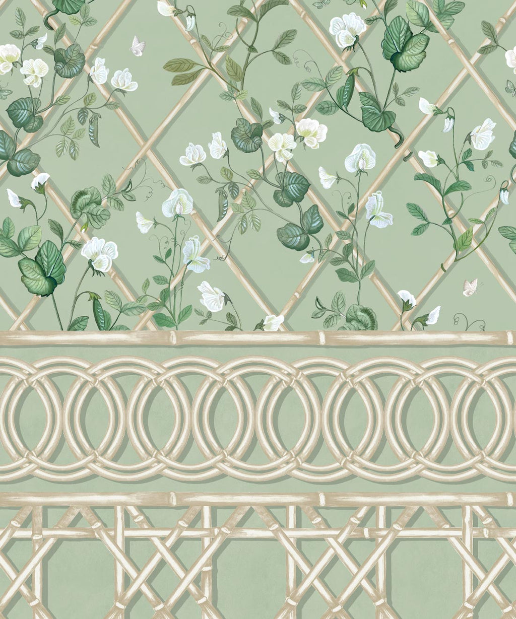 Climbing Sweet Pea Frieze Mural, Sage & Cane