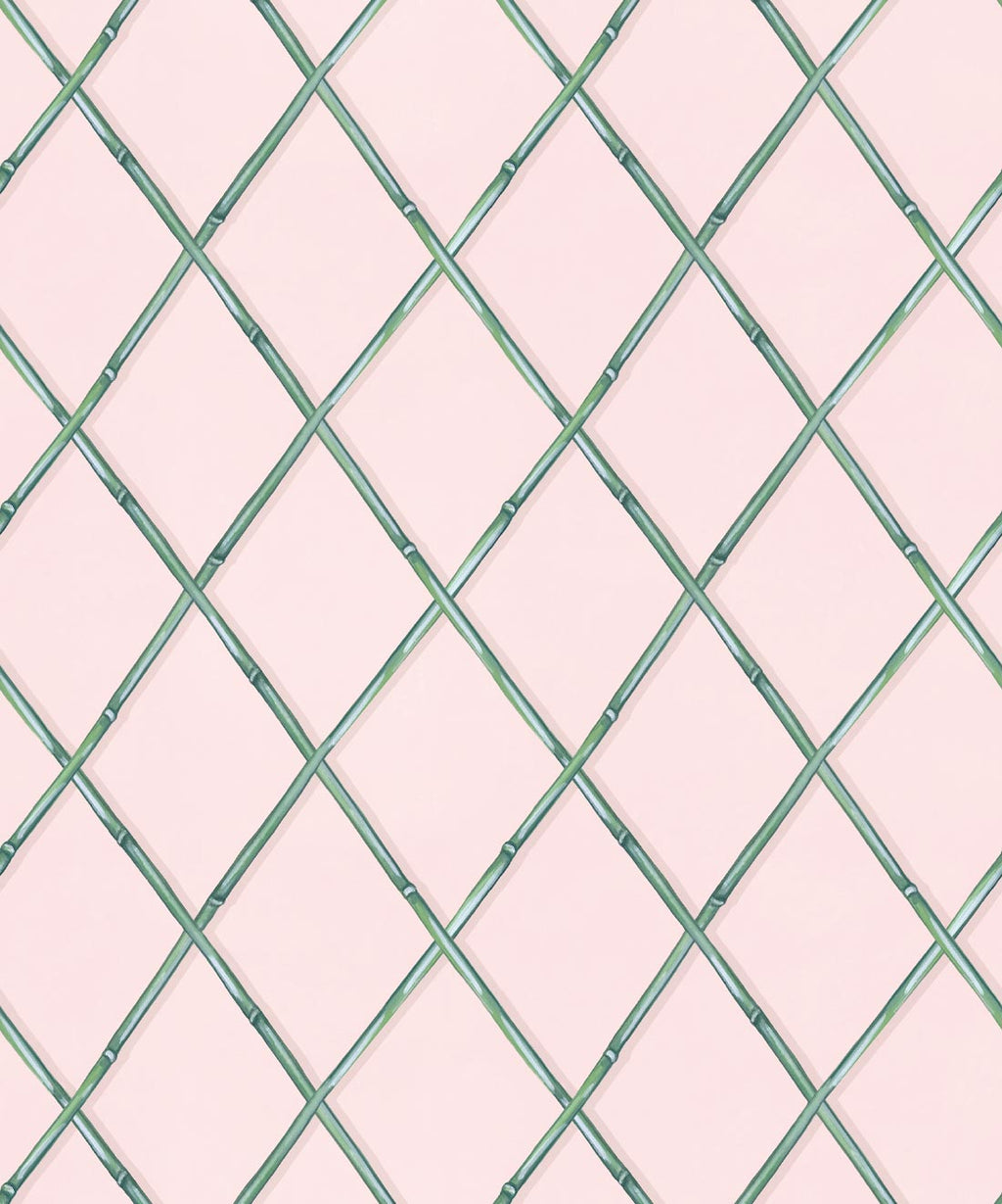 Colony Wallpaper, Pink & Green
