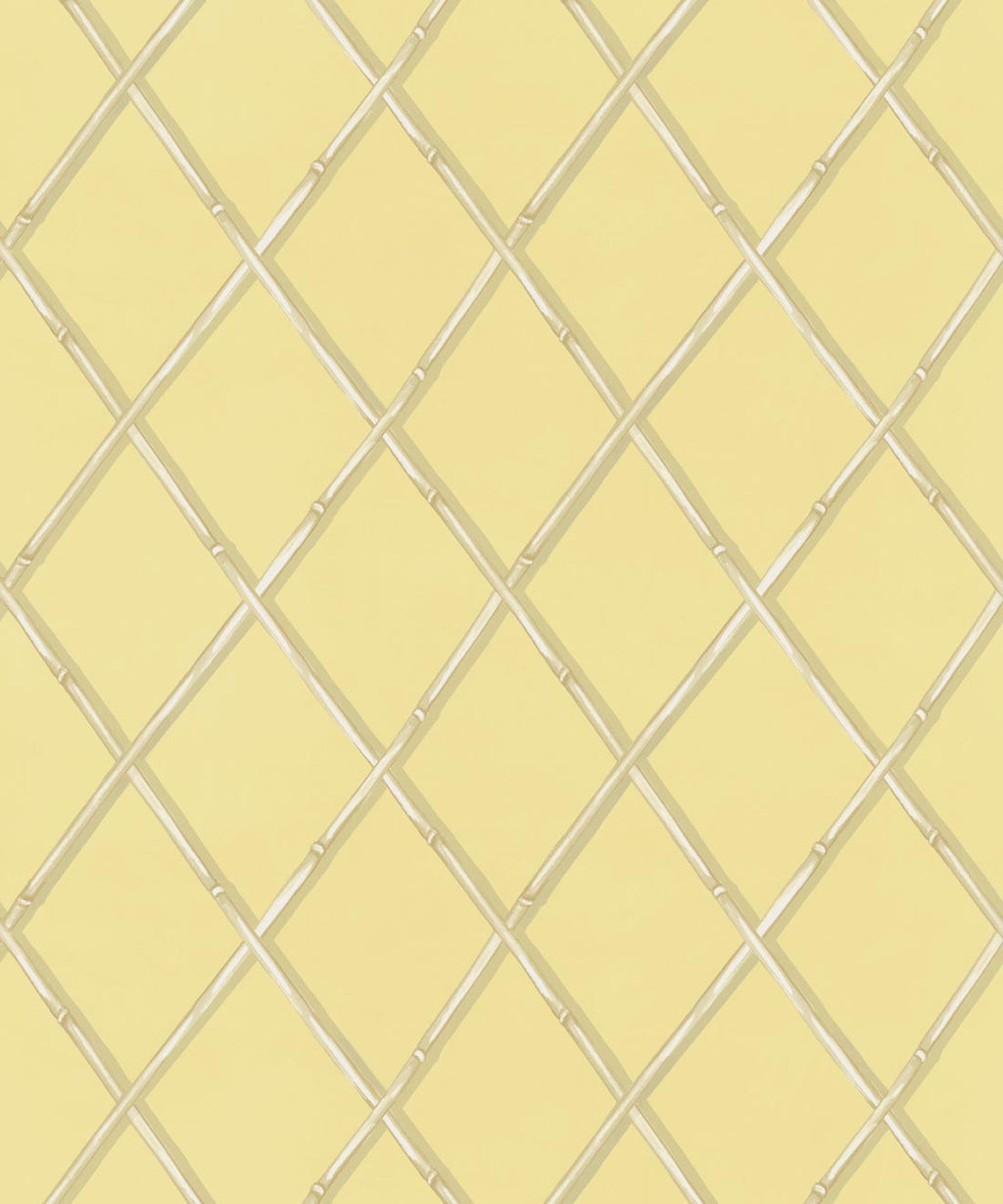 Colony Wallpaper, Rattan & Cane