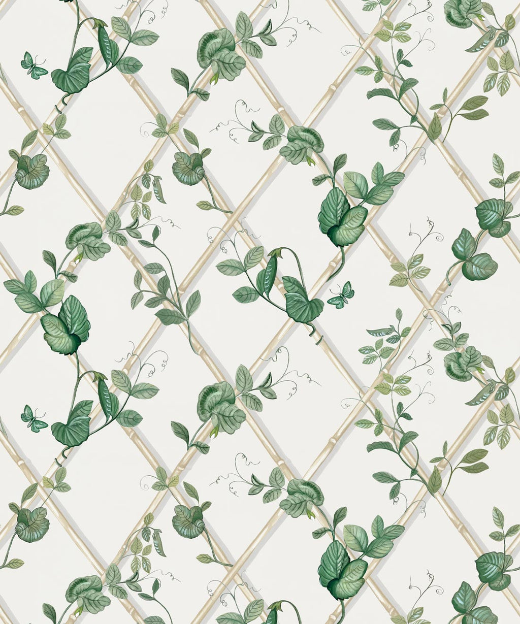 Petite Ivy Wallpaper, Irish Linen & Cane