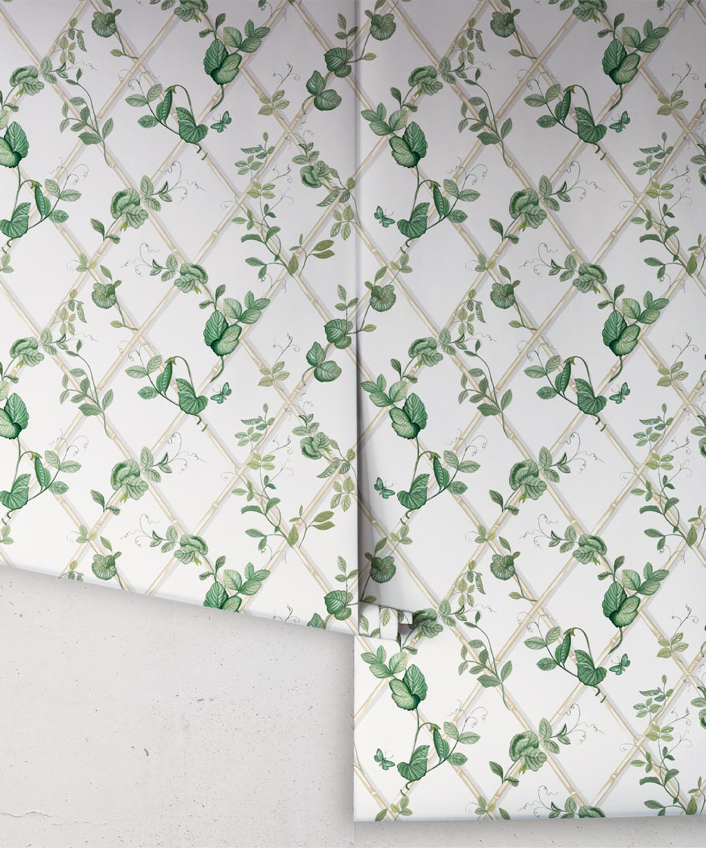 Petite Ivy Wallpaper, Irish Linen & Cane