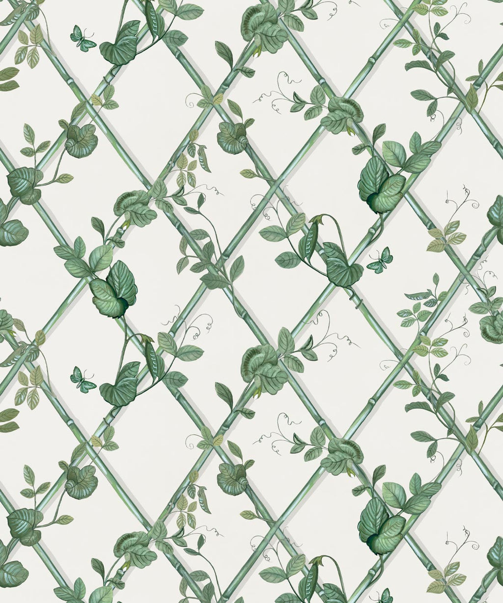 Petite Ivy Wallpaper, Irish Linen & Green