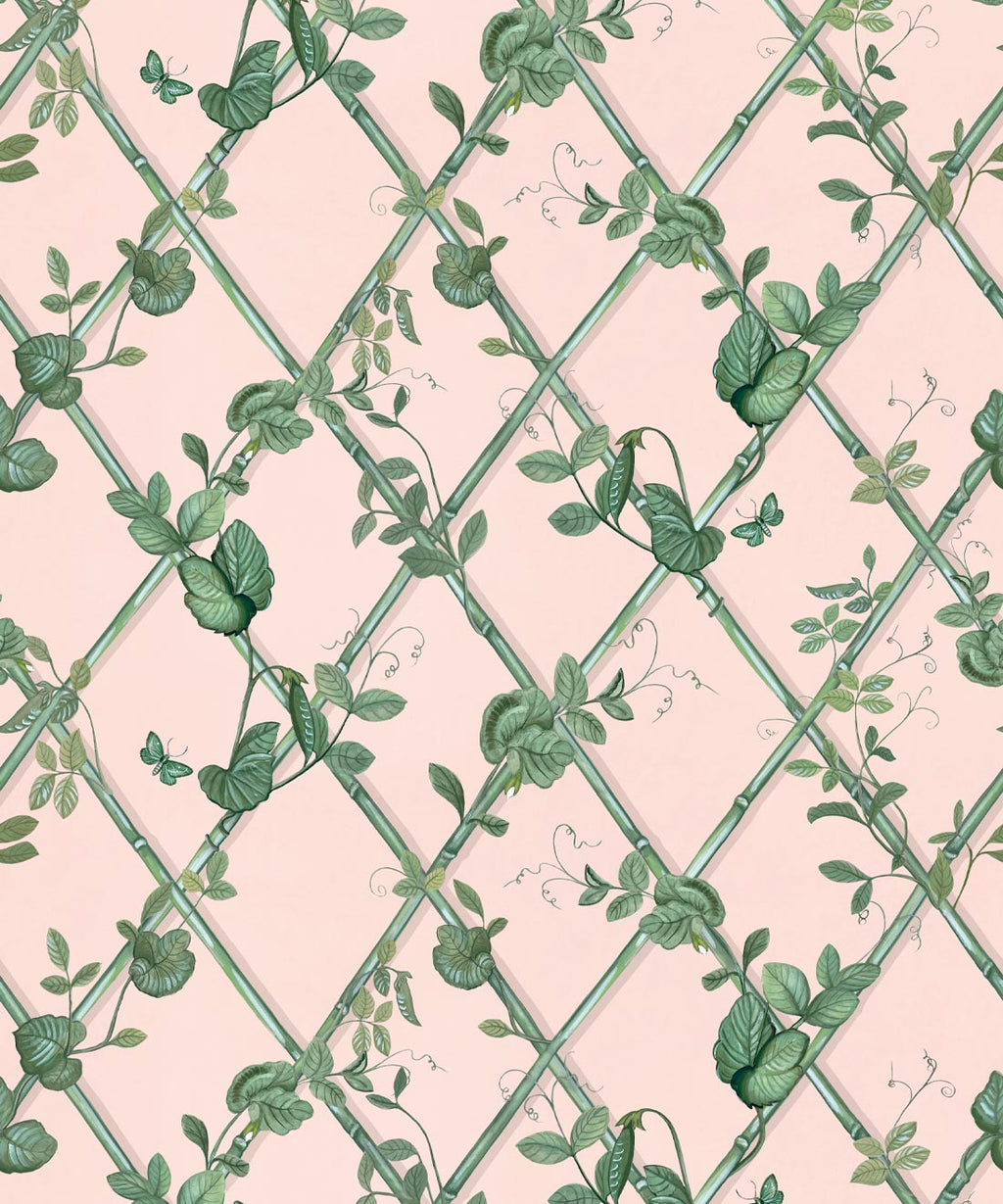 Petite Ivy Wallpaper, Pink & Green