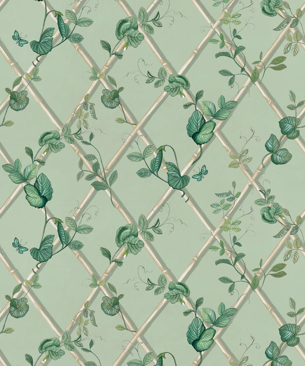 Petite Ivy Wallpaper, Sage & Cane