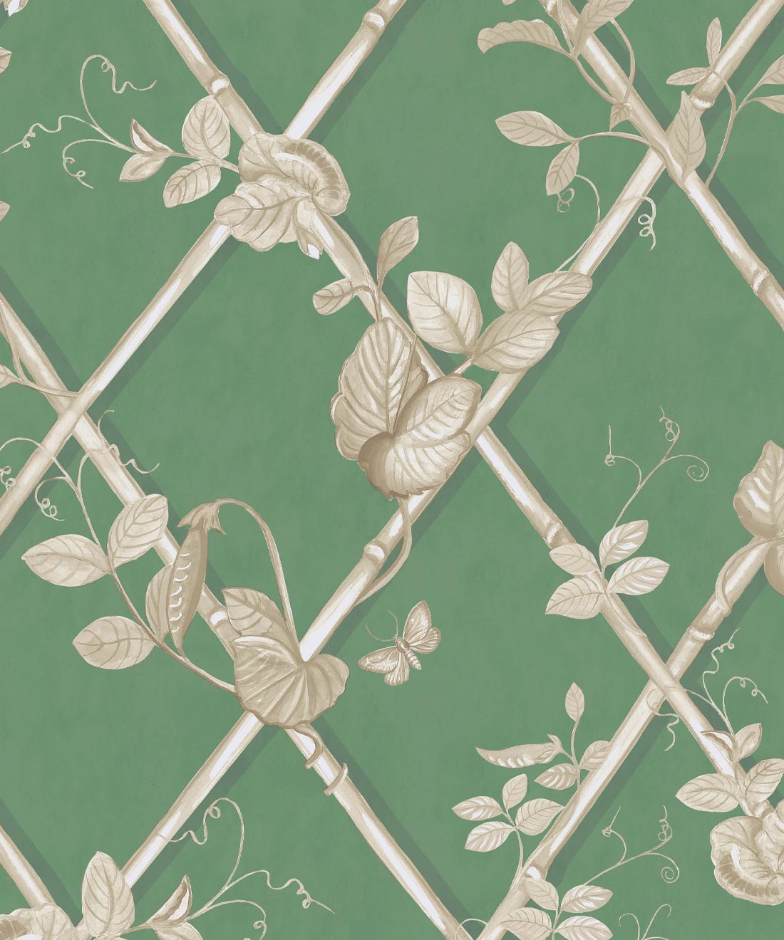 Grande Ivy Wallpaper, Dark Green & Cane
