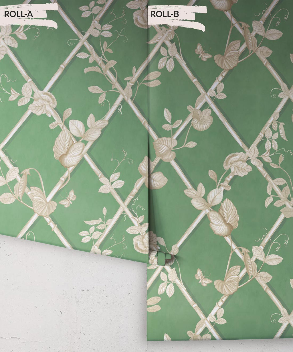 Grande Ivy Wallpaper, Dark Green & Cane