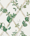Grande Ivy Wallpaper, Irish Linen & Cane
