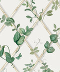 Grande Ivy Wallpaper, Irish Linen & Cane