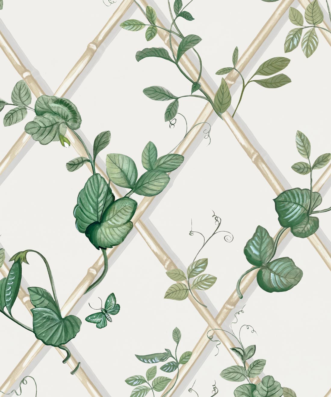 Grande Ivy Wallpaper, Irish Linen & Cane