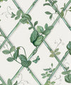 Grande Ivy Wallpaper, Irish Linen & Green