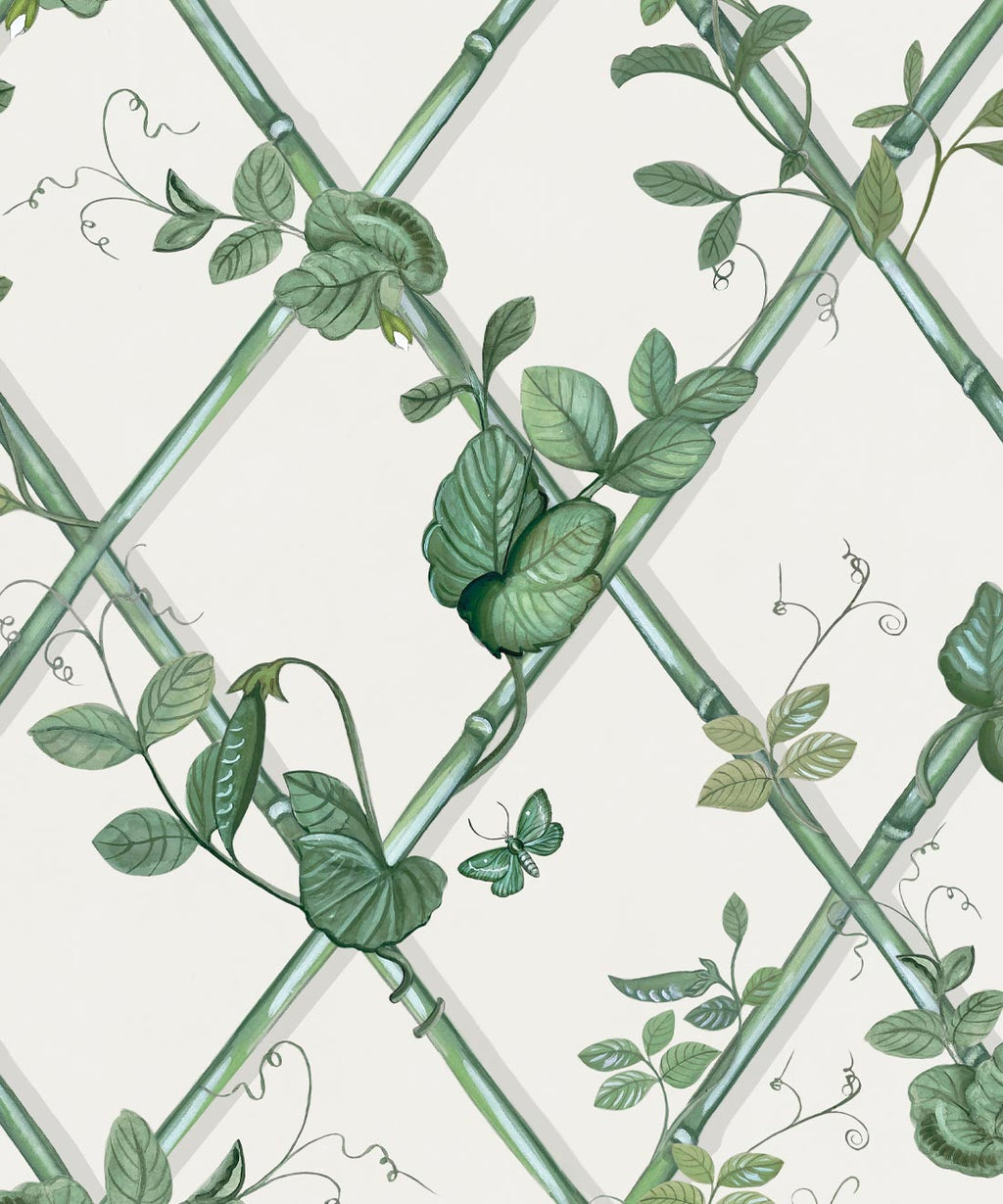 Grande Ivy Wallpaper, Irish Linen & Green