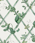 Grande Ivy Wallpaper, Irish Linen & Green