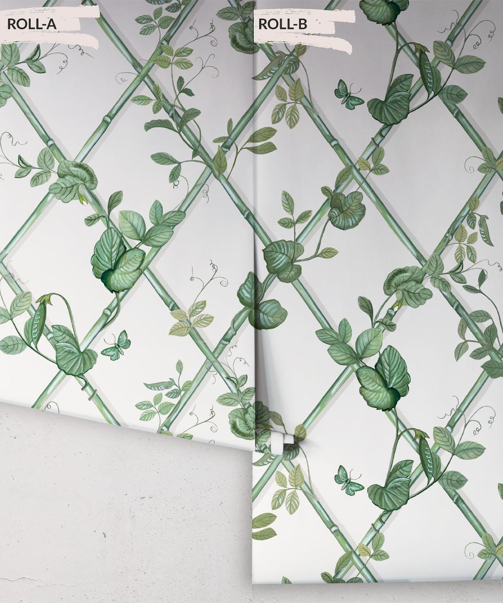 Grande Ivy Wallpaper, Irish Linen & Green