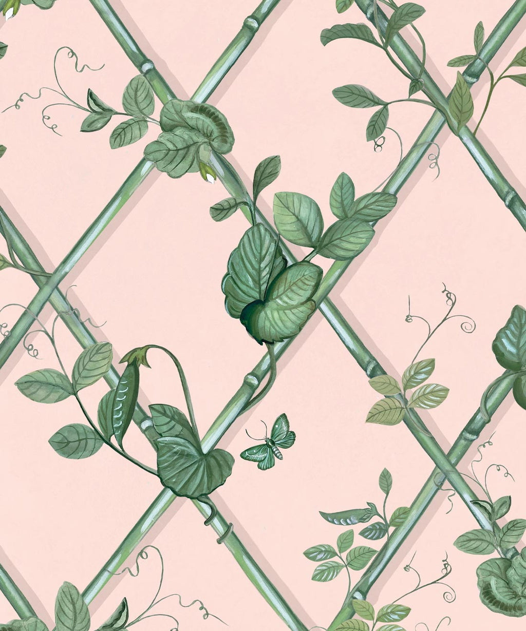 Grande Ivy Wallpaper, Pink & Green