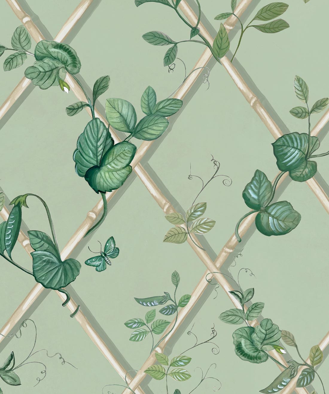 Grande Ivy Wallpaper, Sage & Cane