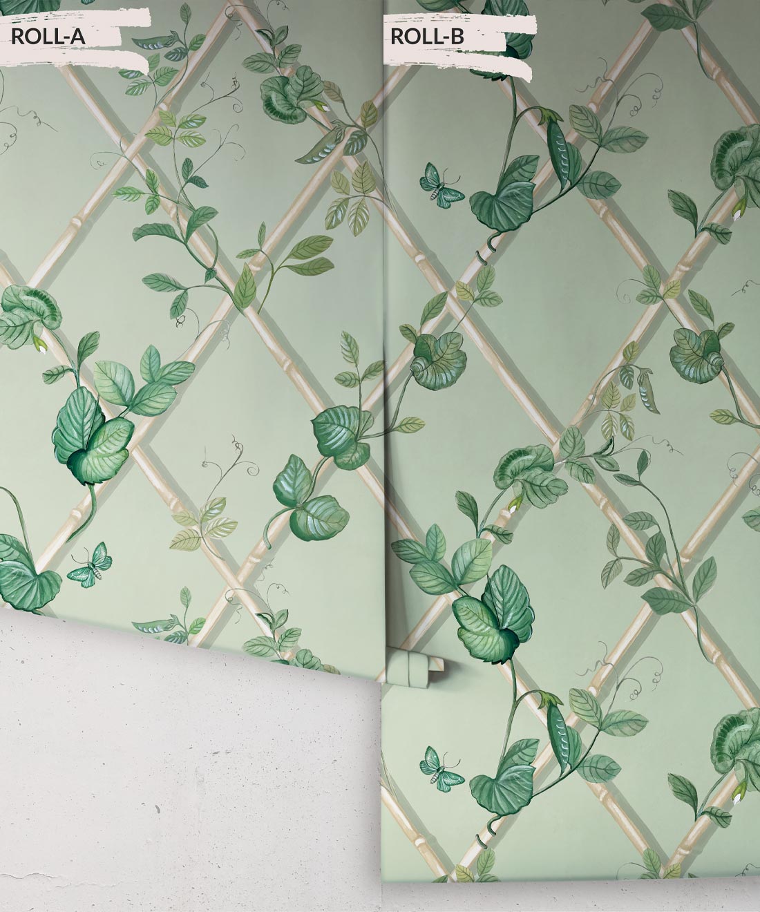 Grande Ivy Wallpaper, Sage & Cane