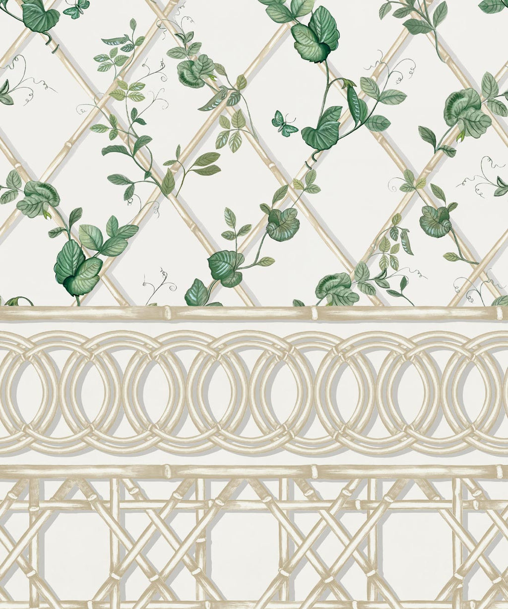 Ivy Frieze Mural, Irish Linen & Cane