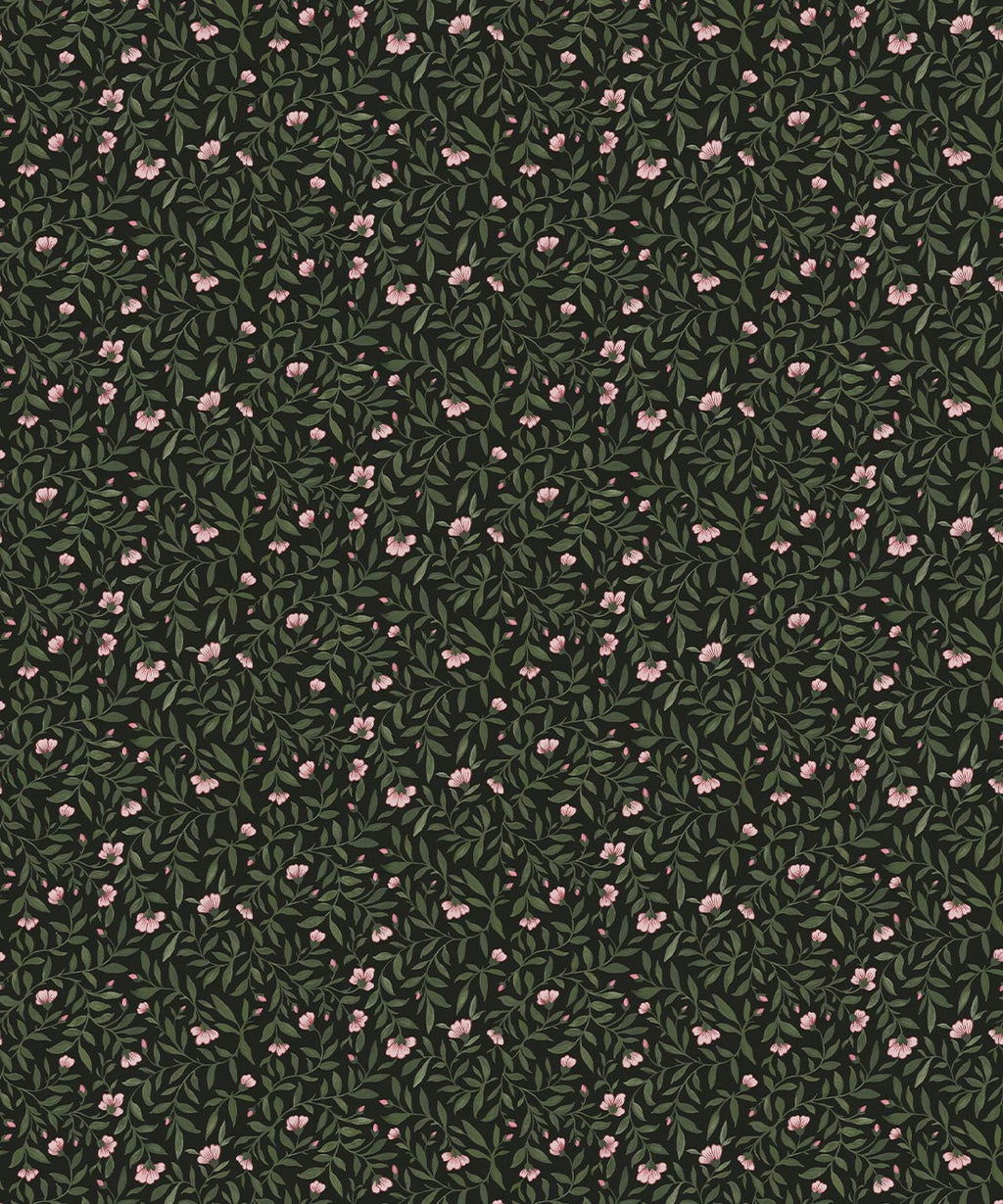 Wild Violet Wallpaper, Jewel