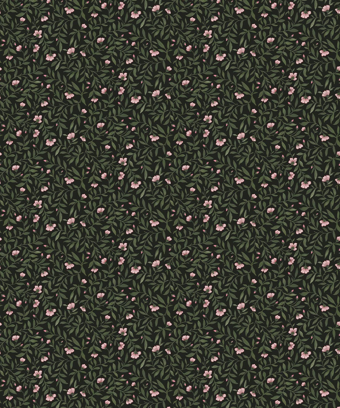 Wild Violet Wallpaper, Jewel
